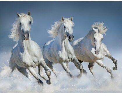 Witte paarden thema placemats 3D 30 x 40 cm - Placemats Multikleur