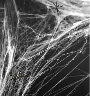 Witte spinnenweb decoratie met 2 spinnen