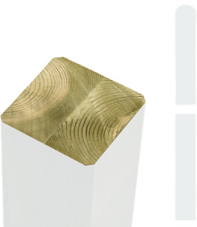 Witte Tuinpalen Hout 9 x 9 x 298 CM Black