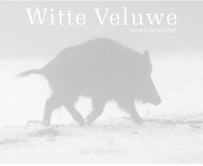 Witte Veluwe - Boek Jan Vermeer (9081696513)