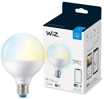 WiZ connected bulb globe 120 wit variabel e27 75w