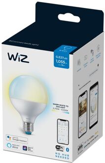 WiZ connected bulb globe 120 wit variabel e27 75w