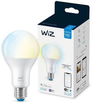 WiZ connected lamp wit variabel e27 100w