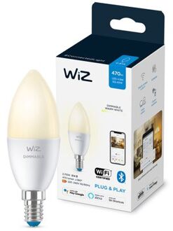 WiZ Flame Aangesloten Lamp Variabele Intensiteit E14 40w