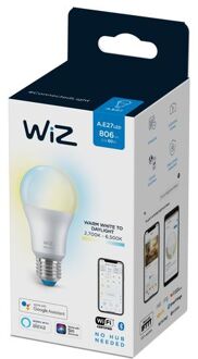 WiZ Lamp E27 60 W Mat