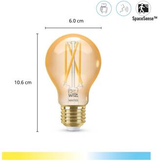 WiZ Smart Filament lamp Standaard Goud - Warm tot Koelwit Licht - E27