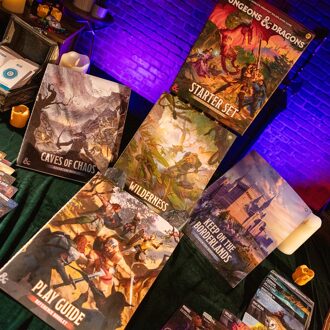 Wizards of the Coast Dungeons & Dragons Heroes of the Borderlands