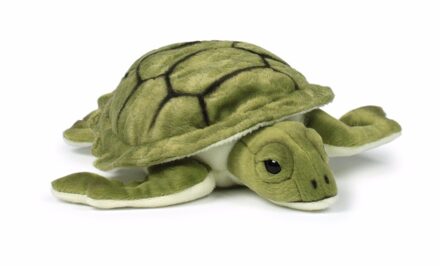 WNF Wereld Natuur Fonds zee schildpad 23 cm - Knuffeldier Groen