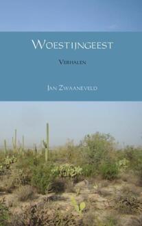 Woestijngeest - Boek Jan Zwaaneveld (9402179658)