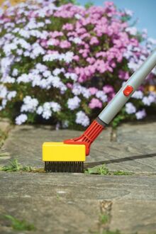 Wolf Garten multi-star FB-M Voegenborstel Rood