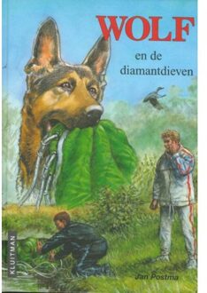 Wolf ruikt onraad - Boek Jan Postma (9020634127)