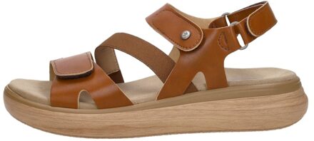 Wolky Amara Cognac - 37