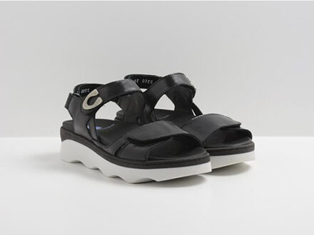 Wolky Medusa zwart , wit - 40