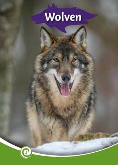 Wolven -  Geert-Jan Roebers (ISBN: 9789464392029)