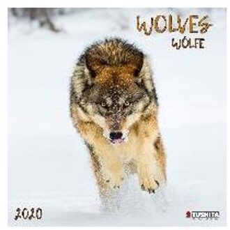 Wolven - Wolves Kalender 2020