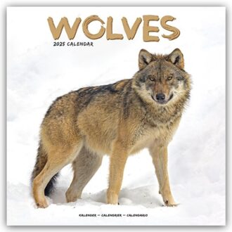 Wolves Calendar 2025 Square Animal Wall Calendar - 16 Month - Browntrout Wandkalender - Avonside Publishing Ltd