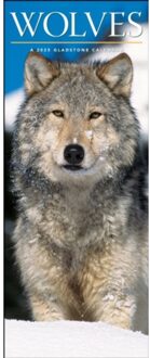 Wolves Slim Calendar 2025 - Media, Gladstone
