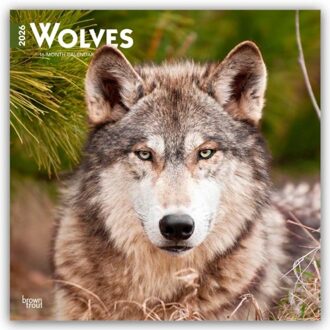 Wolves - Wölfe 2026 - 16-Monatskalender - Browntrout Wandkalender - Browntrout Publishers