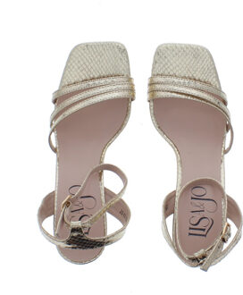 Woly snake glans hi | dames | maat: | imitatieleer Goud - 40