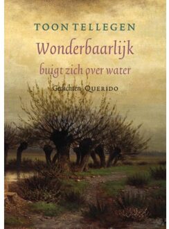 Wonderbaarlijk buigt zich over water - Boek Toon Tellegen (9021403560)