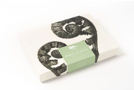 Wonders Of Nature - Correspondence Set - Pepin van Roojen