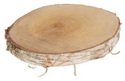 Woondecoratie Berken houten boomschijf 30 x 3,5 cm - Woondecoratie/woonaccessoires - boomschijven