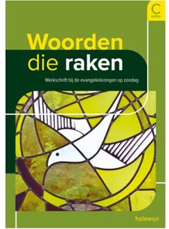 Woorden Die Raken C-Jaar - Vicariaat Vlaams-Brabant-Mechele