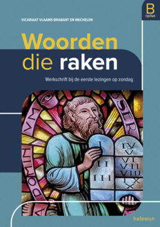 Woorden die raken -  Koen Vanhoutte (ISBN: 9789085287094)