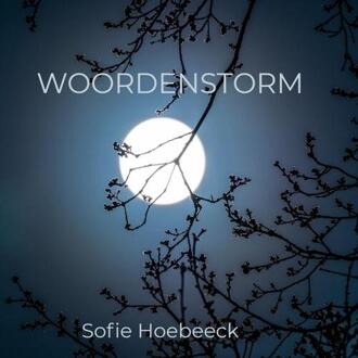 Woordenstorm - (ISBN:9789464057164)
