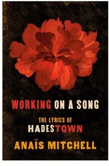 Working On A Song - Anais Mitchell