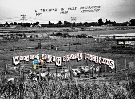 Workshop Asking Stupid Questions - Semi; Colon