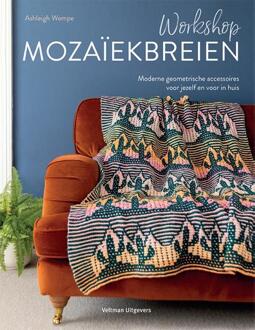 Workshop mozaïekbreien -  Ashleigh Wempe (ISBN: 9789048321629)
