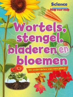 Wortels, stengels, bladeren en bloemen - science