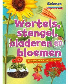 Wortels, stengels, bladeren en bloemen - science