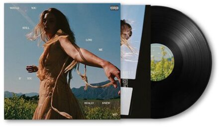 Would You Still Love Me If You Really Knew Me? - Fletcher