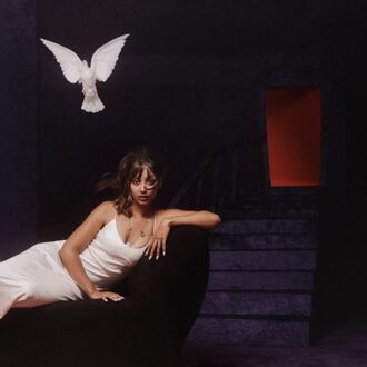 WP Heaven Knows - Pinkpantheress