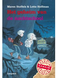 WPG Kindermedia Het geheim van de nachtschool - Boek Maren Stoffels (9025875459)