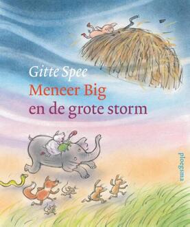 WPG Kindermedia Meneer Big En De Grote Storm - Gitte Spee