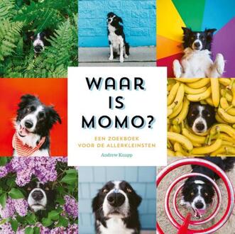 WPG Kindermedia Waar Is Momo? - Momo