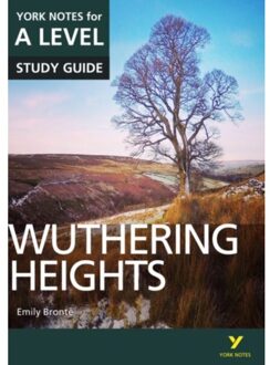 Wuthering Heights: York Notes for A-level