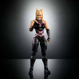 WWE Elite Greatest Hits 1 Natalya Action Figure (6 )