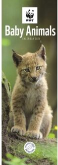 Wwf Baby Animals Slim Calendar 2025 - Calendars, Carousel