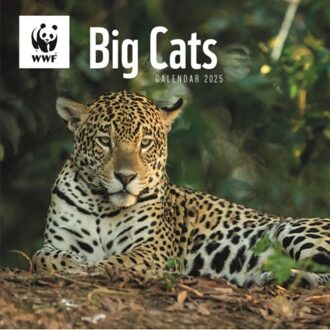 Wwf Big Cats Square Wall Calendar 2025 - Calendars, Carousel