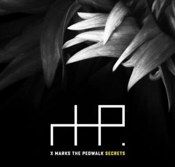 X Marks The Pedwalk - Secrets
