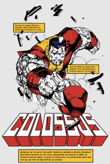X-Men Colossus Bio Women's T-Shirt - Grey - 3XL Grijs