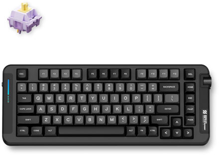 X75 Black Hyacinth Wireless Gasket Mount Mechanical Toetsenbord