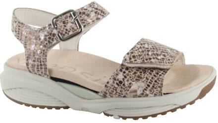 Xsensible 30312.5.428-h dames sandalen sportief Beige - 36