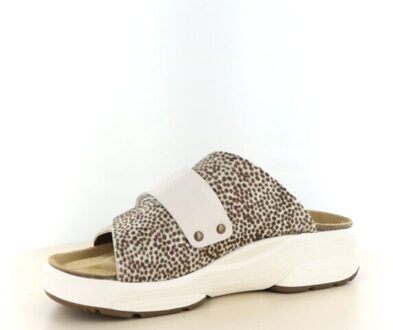 Xsensible 30800.5 wijdte h - maat 39 Veelkleurig