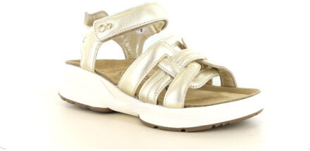 Xsensible 30804.5 wijdte h Goud - 39