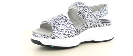 Xsensible Stretchwalker 30700.5 290.96.062 Zilver - 36